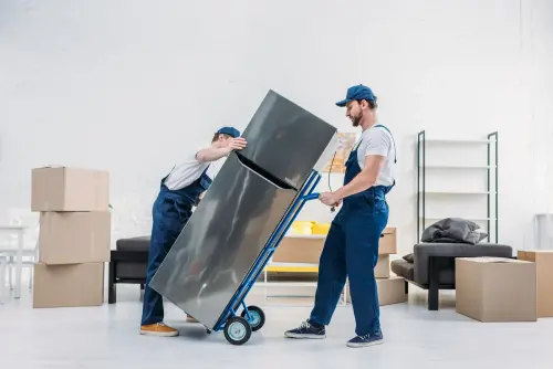 Professional-Movers-Out-Of-State--in-Parkland-Washington-professional-movers-out-of-state-parkland-washington.jpg-image